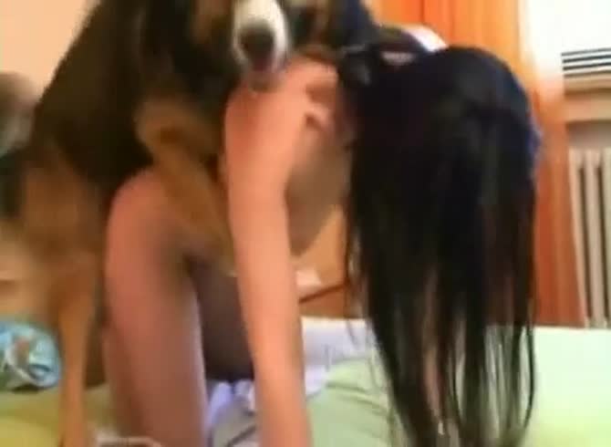 Video :Lovely brunette got fucked in doggiestyle position by dog xxx